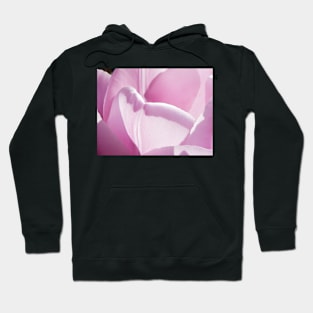 The Heart of a Tulip Hoodie